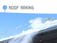Roof Raking
